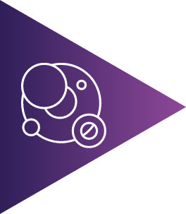 Case Study Rollout